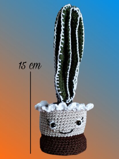 Cactus felíz